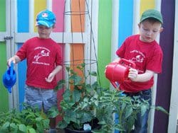 websitephotos003sm